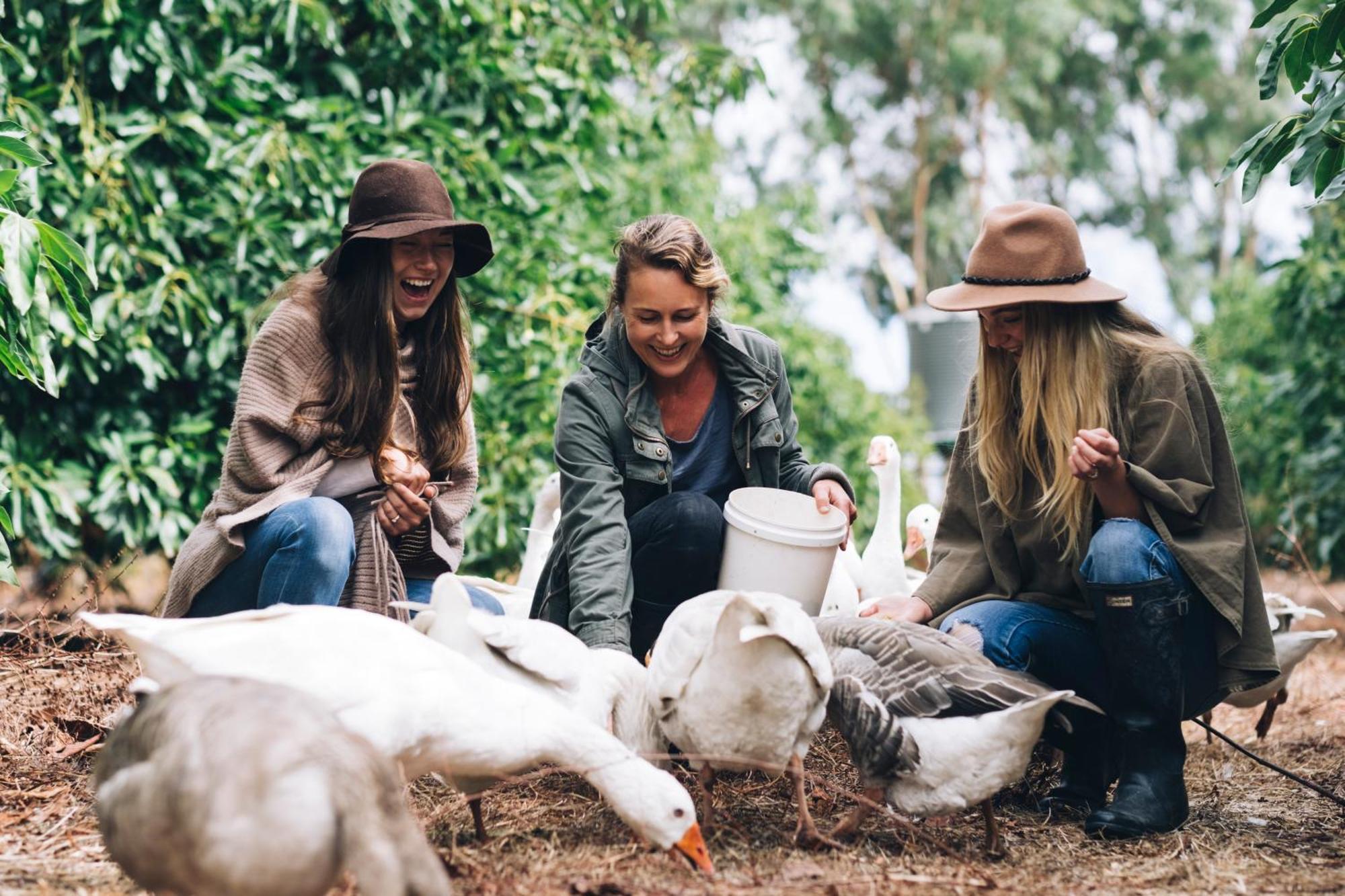 Villa Burnside Organic Farm Margaret River Exterior foto