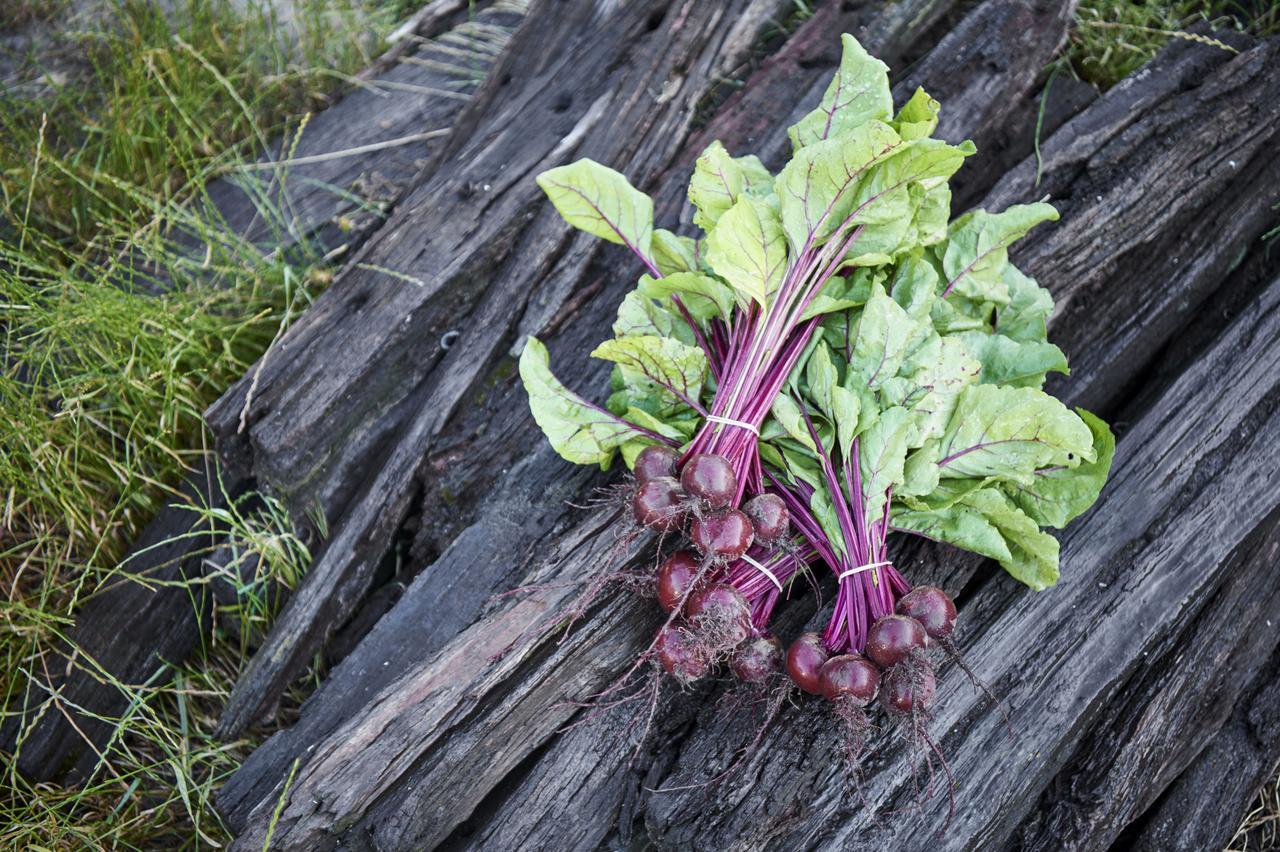 Villa Burnside Organic Farm Margaret River Exterior foto